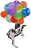 Decoración de Colgante de Gato Acrílico, Adorno Colgante para Interior de Coche Globo, Accesorio Divertido, Llavero para el Hogar