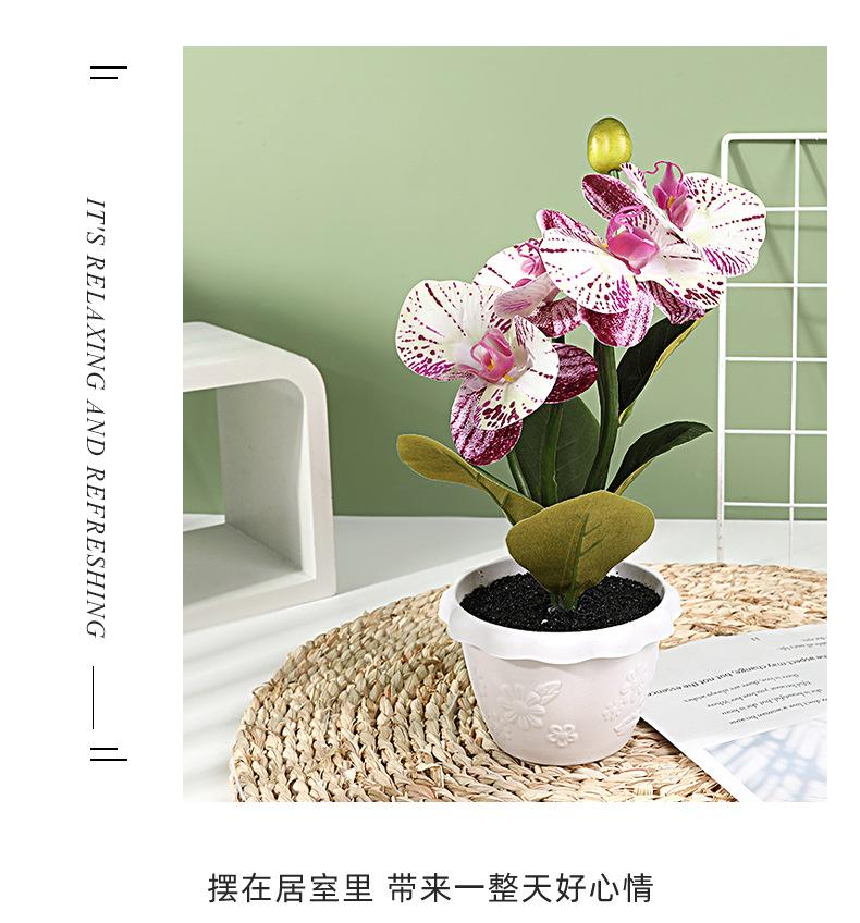 保侬详情_10.jpg