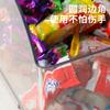 Caixas de Lanches Famosas na Internet para Prateleiras de Supermercado, Caixas de Alimentos a Granel, Caixas de Exibição, Caixas de Lanches Estilo Lanchonete, Caixas de Doces, Transparentes