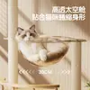 Marco de escalada para gatos tipo cápsula espacial, casa para gatos, árbol para gatos, soporte integrado para gatos, plataforma de salto para gatos, rascador para gatos, plato giratorio para gatos que ahorra espacio, juguete para mascotas