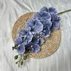 Nueva Phalaenopsis de 9 cabezas de estilo europeo, de alta calidad, de seda retro, de imitación, para bodas, adornos florales, accesorios de fotografía.