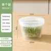 Caja de almacenamiento de cocina estilo japonés para cebolletas, jengibre y ajo, de doble capa con drenaje, para almacenamiento en refrigerador y conservación de alimentos