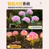 Nuevas Luces Solares para Jardín Exteriores Impermeables Decoración de Jardín Paisaje Césped Exterior Luces de Flor de Hortensia