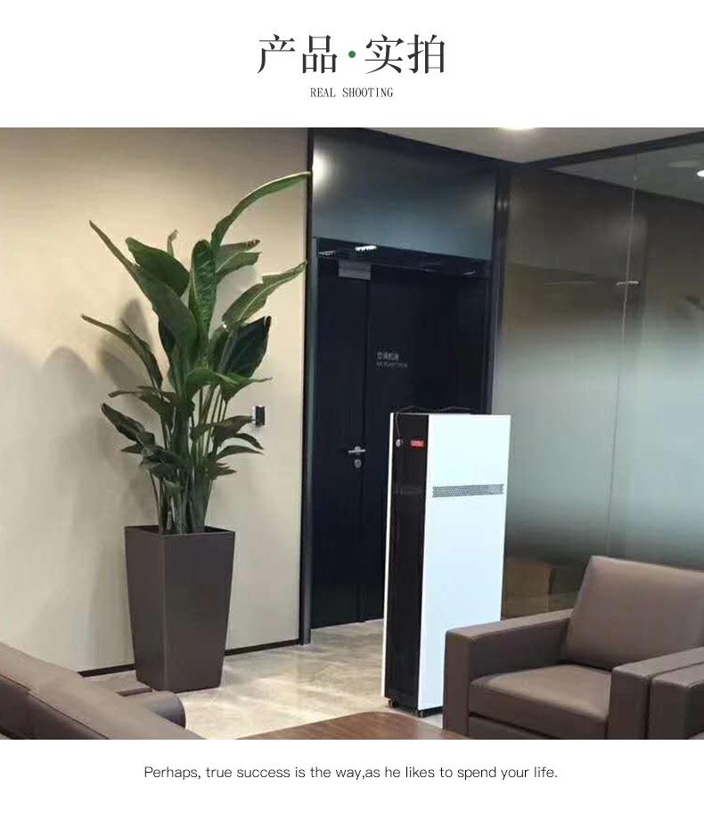 花盆_14.jpg
