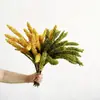 Contiene Haz de Simulación Yang Espiga de Grano Natural Pastoral Simulación de Grano Espiga Falsa de Trigo Decoración del Hogar Decoración de Casa de Huéspedes Fotografía