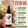 Fertilizante Especial de Solución Nutritiva para Cactus de Navidad Planta de Interior en Maceta Floración Brotes Florales Fertilizante Especial para Floración de Cactus de Navidad Solución Nutritiva