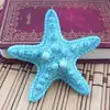 Decoración de Cabeza de Estrella de Mar Blanca Decolorada Especial Pentagonal Natural Plataforma de Boda Decoración Mediterránea Estrella de Mar Real