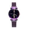 Venta al por mayor de fábrica trémolo más vendido con cielo estrellado moda retro cielo estrellado malla ferromagnética correa reloj estudiante femenina coreana