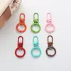 Libro de colores anillo de aleación mascota hebilla de langosta más anillo de tarjeta llavero llavero hebilla de perro hebilla de gancho caja de hardware hebilla de bolsa
