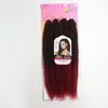 Comércio Exterior Fábrica de Perucas Atacado Perucas de Cabelo Preto Africano Trança Brasileira Transfronteiriço 4X Fornecimento Exclusivo