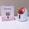 Novo Produto Vaporizador Facial Temperatura Fria e Quente Spray Duplo Doméstico Limpeza Facial Salão de Beleza Borrifador Spray Térmico Vaporizador Facial Suplementador de Água