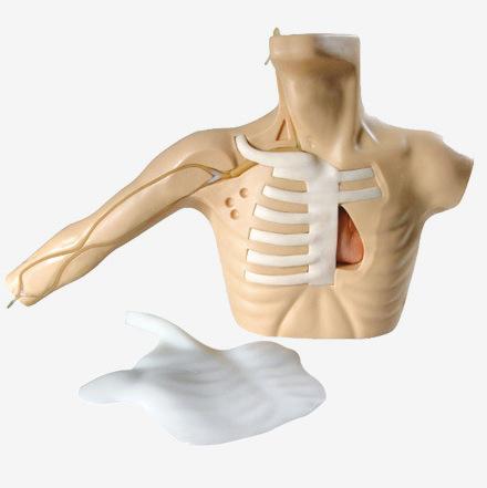 扣扣图片20150806112459