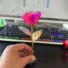 Presente de Dia dos Namorados Cor Dourada 24k Rosa Atividade de Empurrar Pequeno Presente Atacado Flor de Simulação Presente de Dia das Mães
