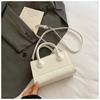 Bolso de Mano de Moda 2025 para Mujer, Elegante, Niche, Simple, para Desplazamiento Diario, Bolso Bandolera de un Solo Hombro