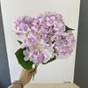 Novo Pacote de 45 Peças com Cinco Cabeças Flor de Hortênsia Artificial Decoração de Flor Decorativa para Casa Sala de Estar Parede de Fundo de Flores para Casamento