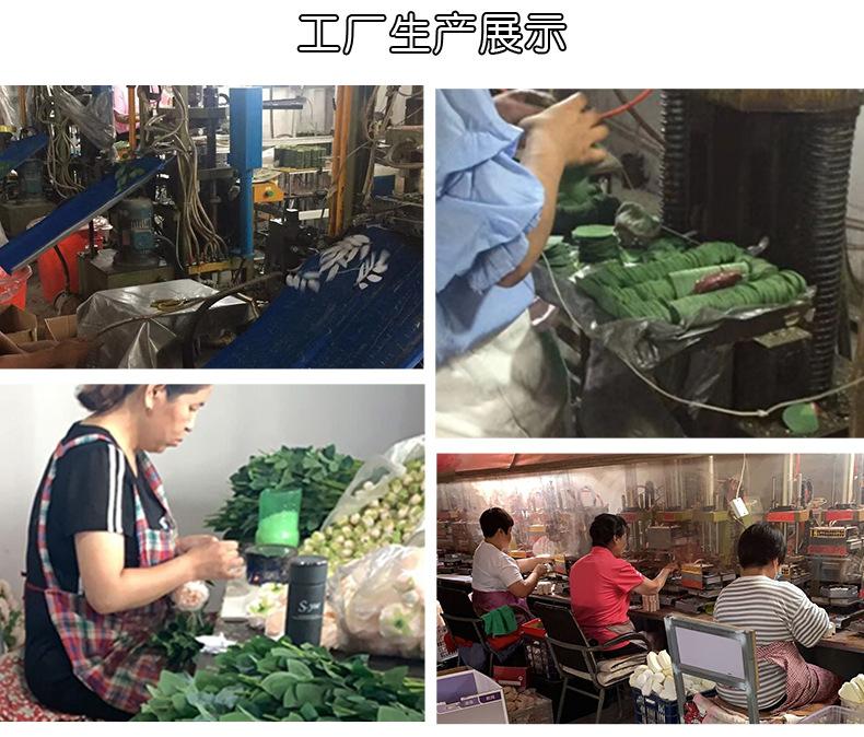 发财果_17.jpg