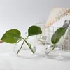 Jarrón de vidrio estilo japonés decoración del hogar gato escritorio planta verde jarrón hidropónico micro-paisaje creativo mini lindo