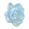 Peonía y Eucalipto Flor Preservada Aromaterapia Material Floral para Decoración del Hogar, Arreglo Floral para Vestíbulo y Oficina