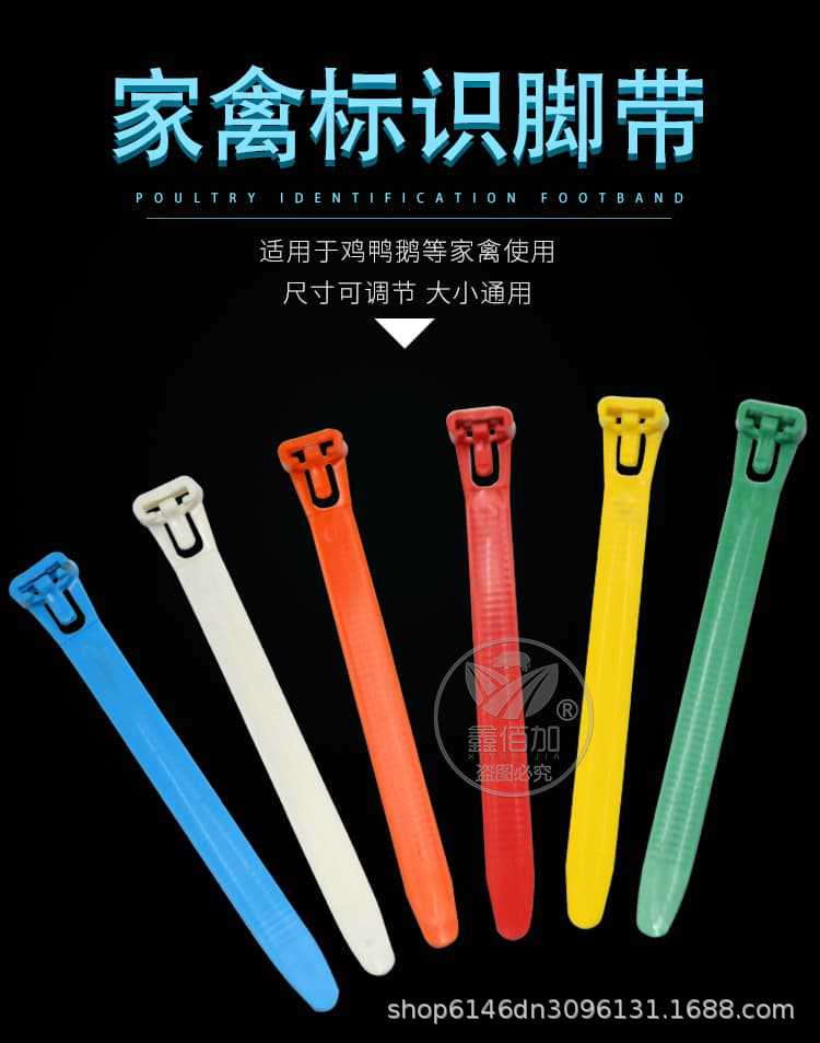 鸡扎带脚环C详情页(1).jpg