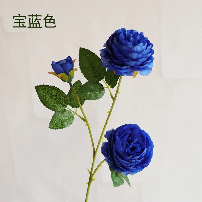3头洋牡丹宝蓝色2