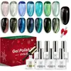 Set de 9 piezas de esmalte en gel ojo de gato vidrioso, esmalte de uñas negro, set de herramientas para nail art, nail art magnético, caja de regalo de Navidad, gel UV transfronterizo