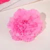 Claveles Simulados Flor de Seda Cabeza Decoración de Sala de Estar Día de la Mujer DIY Pilar de Flores Hecho a Mano Red de Flores Venta Directa Suministro Transfronterizo