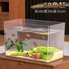 Acuario 2026 Nuevo Estilo Hogar Sala de Estar Pequeño Tanque de Peces Colgante de Presión Negativa Relleno de Agua Paisajismo Acrílico Tanque de Tortugas