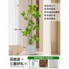 Forma de Hoja de Flor Árbol de Caucho Baniano Dorado Sala de Estar Planta Verde Baniano Rico Interior Oficina Planta Verde Planta Grande en Maceta