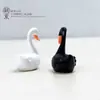 Cisne Blanco y Negro Suculenta Paisaje en Miniatura Adornos de Escenario Mini Modelo de Zoológico Diseño Material DIY Bonsái