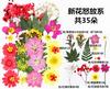 Bolsa de Rafia para Plantas Bolsa de Material para Estampado de Flores Secas Espécimen de Hoja de Flor Real Pintura DIY Marcapáginas Goteo de Pegamento Posavasos de Flores Secas