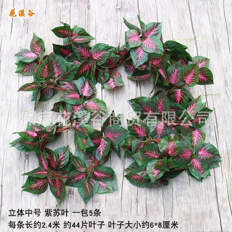 立体中号紫苏.jpg