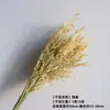 Hierba Gema Seca, Cola de Conejo, Espiga de Trigo de Color Natural, Cola de Perro, Flores Secadas al Aire para Decoración del Hogar, Arreglo Floral, Flores DIY