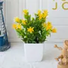 Plantas Simuladas de Venta Caliente Transfronteriza, Plantas Falsas, Plantas Verdes, Decoración para Interiores y Exteriores, Plantas en Maceta de Plástico, Pequeñas Plantas en Maceta de Eucalipto