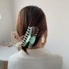 Pinza de Agarre Color Caramelo Primavera 2021 Celebridad de Internet Esmerilada para el Cabello Pinza Simple Japonesa y Coreana para la Parte Posterior de la Cabeza Tocado Adulto para Moño