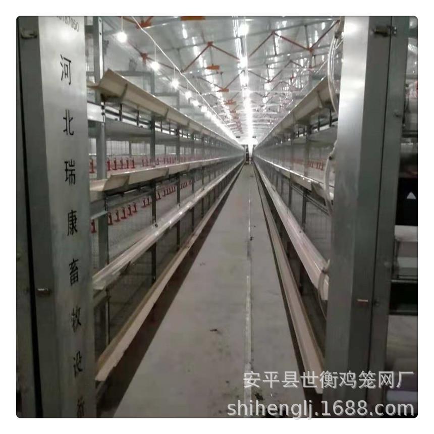 微信图片_20201201172721_副本