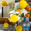 Armadilha para Mosca da Fruta, Armadilha Pequena para Insetos Voadores, Removedor de Mosquitos para Interior, Armadilha Pegajosa para Mosquitos de Cozinha, Atrativo para Moscas