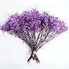 Flores de Gipsofila Secas, Materiais Florais Eternos para DIY, Atacado do Fabricante de Yunnan para Casamento e Decoração de Casa, Lembrancinhas de Casamento