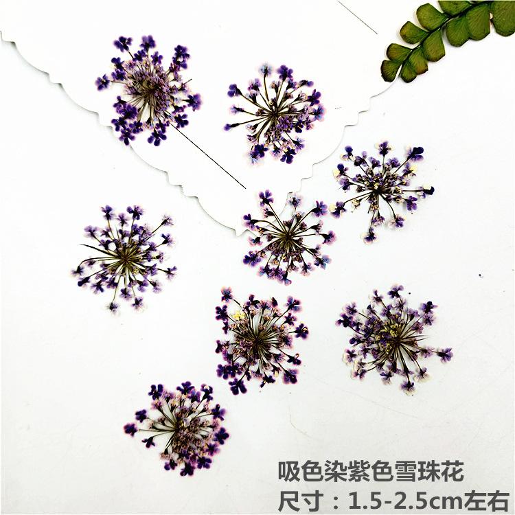 IMG20200224173803