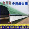 Toldo de Membrana Película Verde Champiñón Invernadero de Cría Comestible Aislamiento Hongos Comestibles Fabricante de Invernaderos Blancos Invernadero de Plástico Cepas