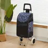 Carrito de Compras de Acero Inoxidable, Carrito Trepador de Escaleras, Carrito Grande Plegable para el Hogar para Personas Mayores, Carrito de Arrastre Manual