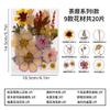 Novos Materiais DIY Feitos à Mão Adesivos de Foto Marcadores de Livro de Resina Porta-Retratos Flores Secas Flores Prensadas Espécimes de Plantas Florais Reais Buquê