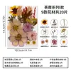 Materiales para manualidades con flores secas, marcapáginas de resina, lámparas de mesa con flores prensadas, especímenes de plantas con flores reales, materiales para decoración de marcos de fotos con flores prensadas