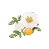 Broche de Flor de Ciruelo, Broche de Alto Nivel Estilo Nuevo, Broche Anti-Exposición, Clip de Bufanda Transfronterizo de Perlas de Nicho para Trajes de Mujer