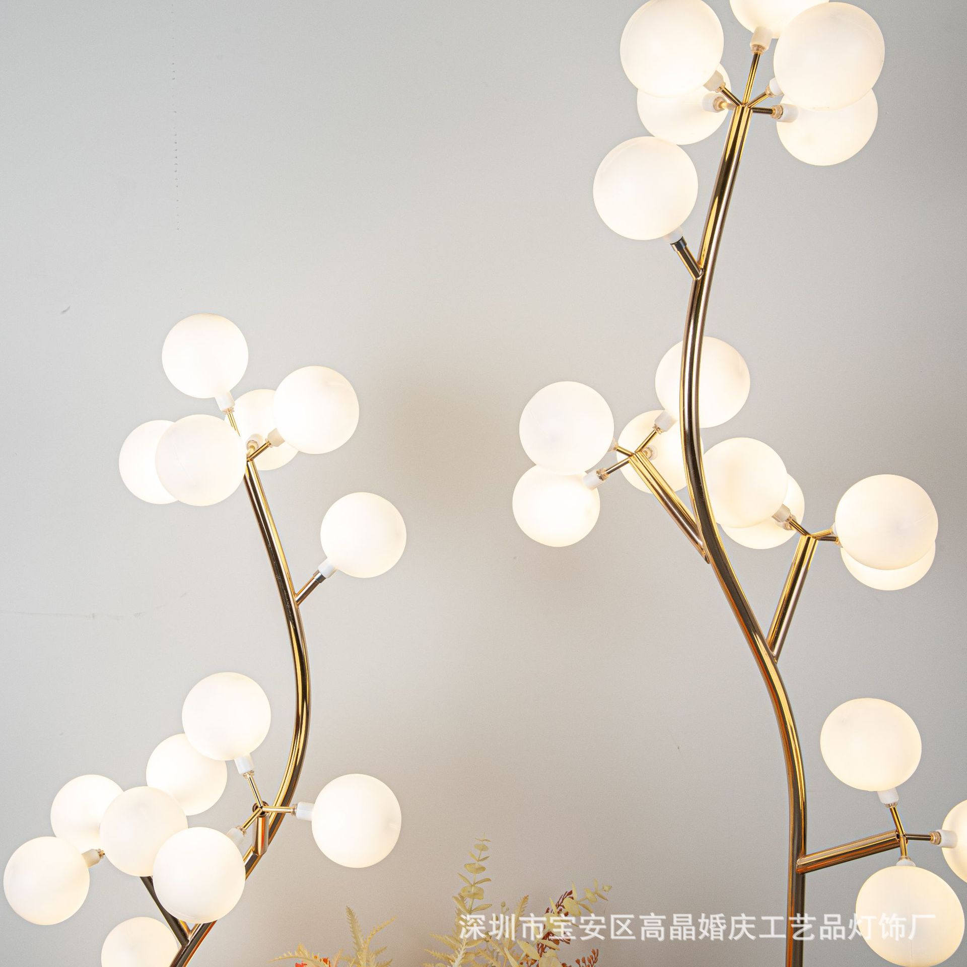 五郎传媒-2496_WPS图片