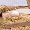 Ovos de pombo de criação livre de Henan, disponíveis para entrega em caixas de 10/20/30 ovos, alimentados com grãos mistos, ovos de pombo frescos, ovos de aves frescas