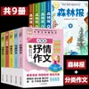 Jornal da Floresta Primavera, Verão, Outono, Inverno Conjunto Completo de 4 Volumes Edição Genuína para Quarta Série Segundo Semestre Lista de Livros Didáticos Sincronizados para Alunos do Ensino Fundamental Terceira Série