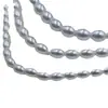 Perlas Ovaladas de Imitación Xiaomi, Perlas Bebé de Agua Dulce Naturales de Imitación, Accesorios para Joyería de Imitación de Concha DIY