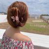 Monet Garden Super Fairy Butterfly Grab Clip Sweet All-match Hair Grab Japonês e Coreano Ácido Acético Shark Clip Clipe de Cabelo Acessórios para o Cabelo