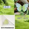 Especímenes de Mariposas Reales para Práctica, Mariposas Originales con Alas Sin Abrir, Materiales DIY para Espécimenes de Insectos, Mariposas Monarca, Insectos Originales, Mariposas Cola de Golondrina