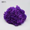 Flores de Hortensia Secas con Degradado Grande Hortensias Conservadas Cabezas de Flores Grandes Color Mixto Multicolor Hortensias Secas Decoración del Hogar Materiales Florales